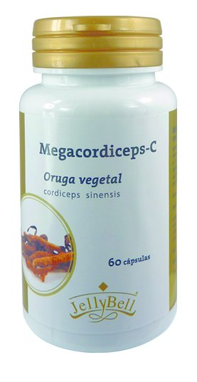 megacordiceps